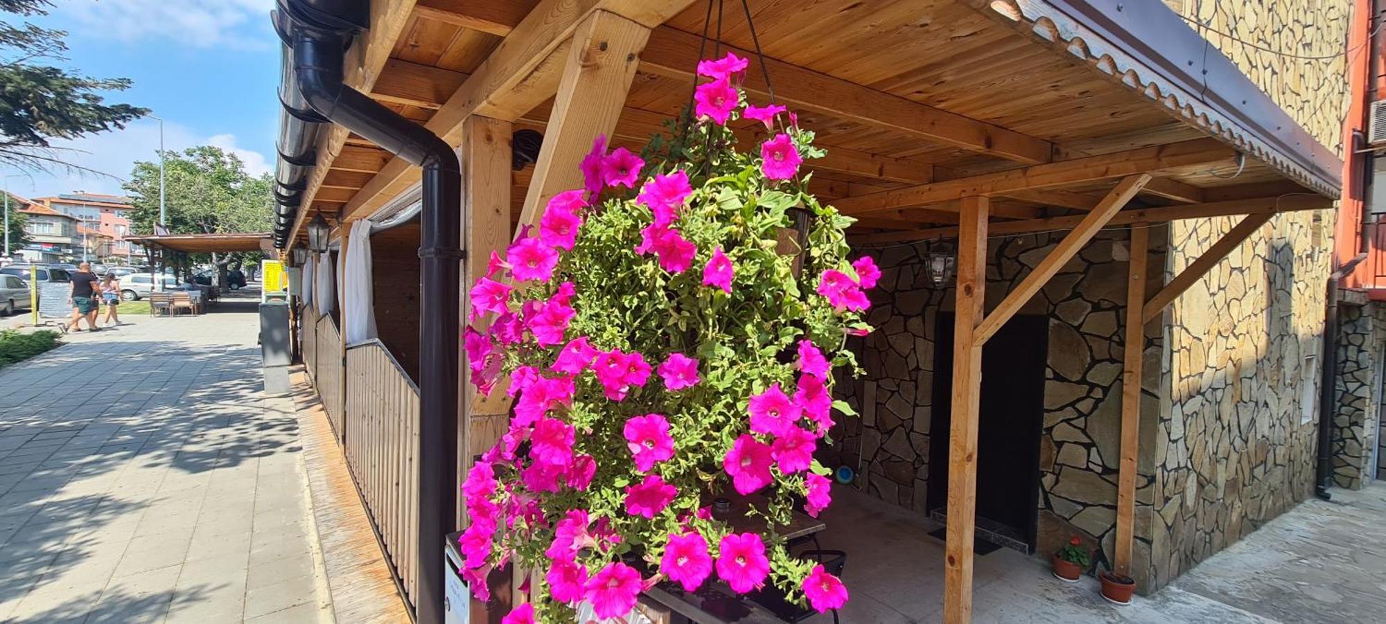 Sineva Guest House Ravda Exterior foto